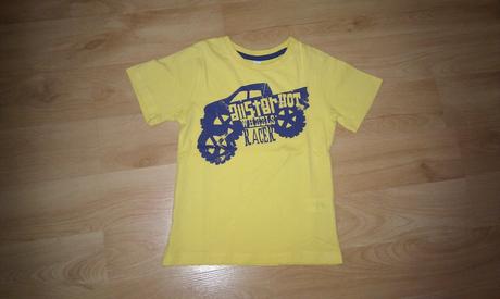 Tricenko, palomino,104