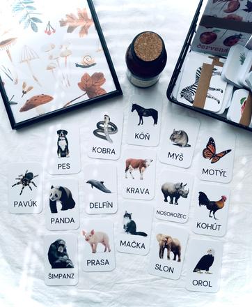 Zvieratá - kartičky s realistickými obrázkami,