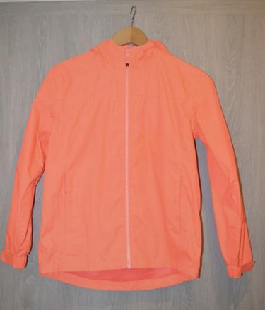 Bunda husky, husky,146