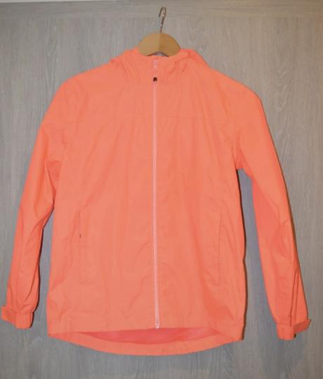 Bunda husky, husky,146