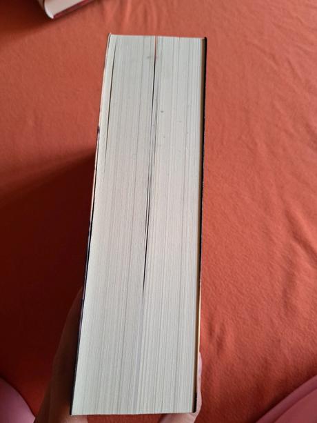 Cassandra clare - chroniken der unterwelt, 