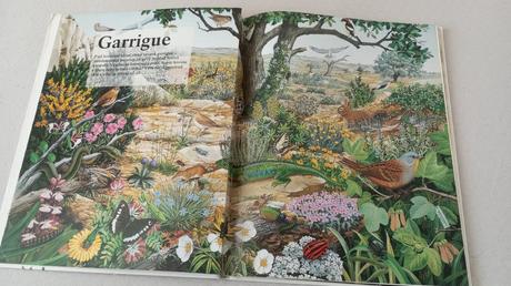 Zázračný svet prírody, 