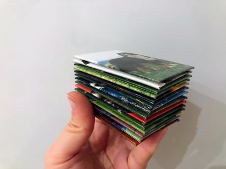 Magnetky plemená psov,