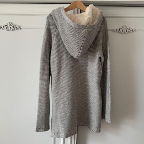 Svetrík lanidor, 140