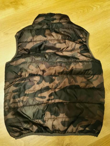 Vesta, terranova,110