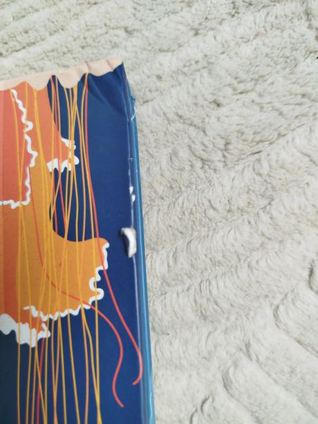 Prieskumník oceánu tajomstvá hlbín, 