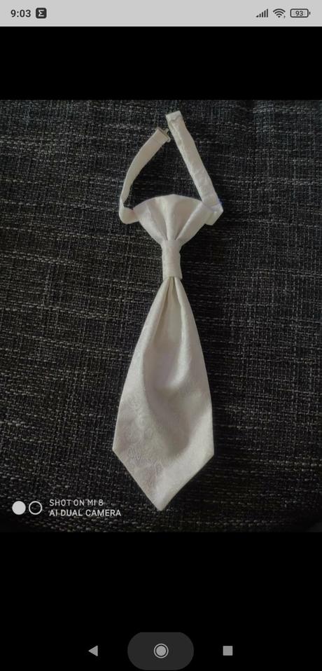 Vesta pre ženícha, l