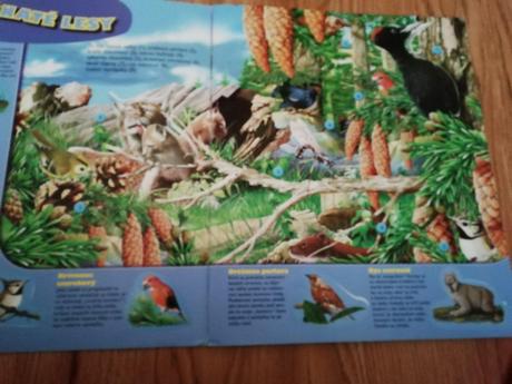 Kde žiju zvieratá+zvieratá s nálepkami,