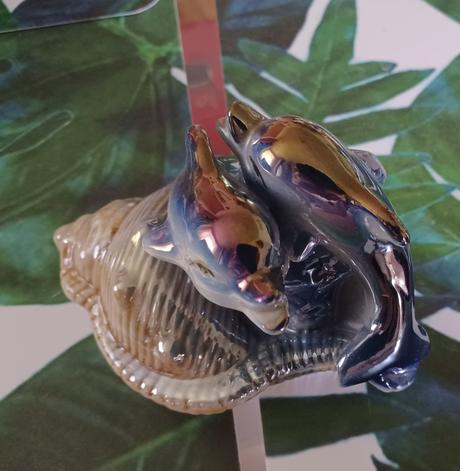 Delfíny s mušľou, 