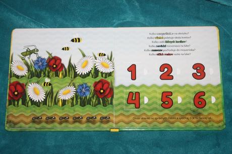 Pexeso na cesty na lúke,