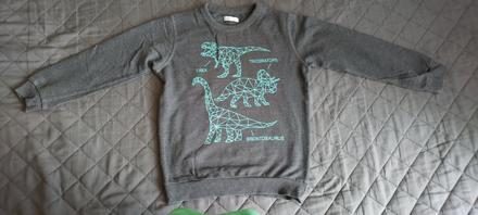 Chlapčenská mikina, pepco,110