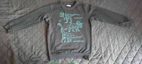 Chlapčenská mikina, pepco,110