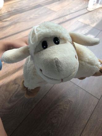 Pyšový vankúšik,