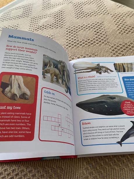 London natural history museum kids only, 