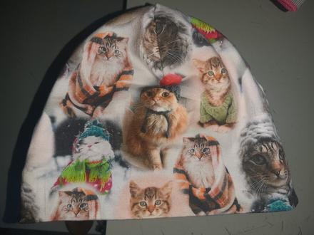 Ciapka s mackami, 116