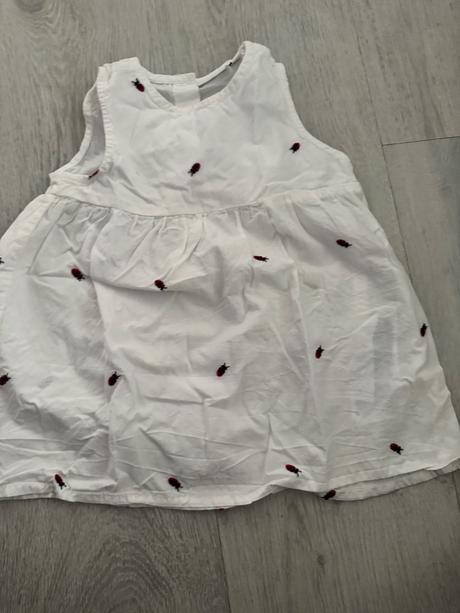 Šaty lienkove, zara,56