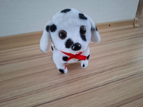 Chodiaci a štekajúci pes, 