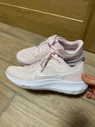 Nike pegasus 40, nike,43