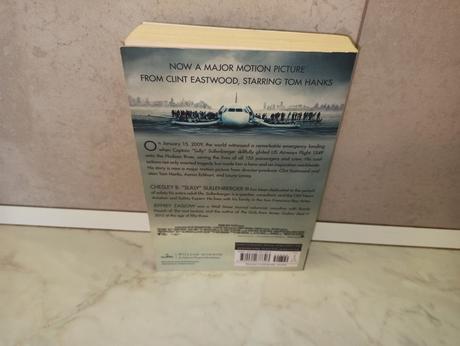 Sully - miracle on the hudson,