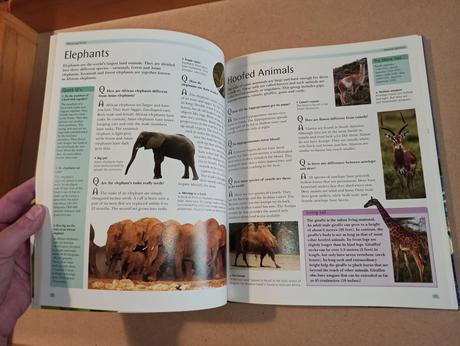 The great book of questions and answers hb,