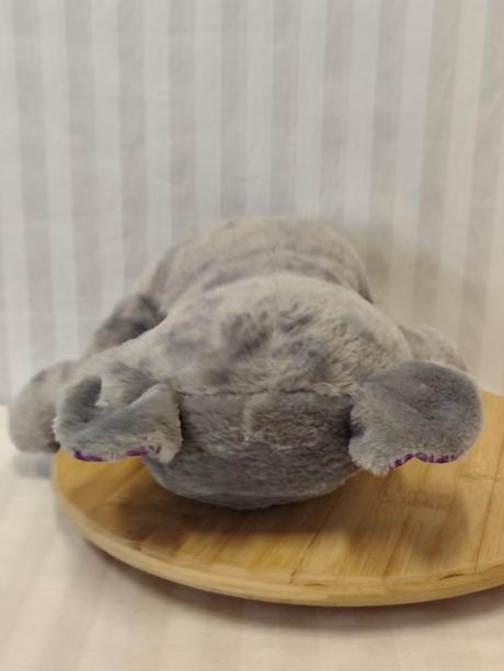 Plyšová koala s trblietavými očami, x-mile, 30 cm,
