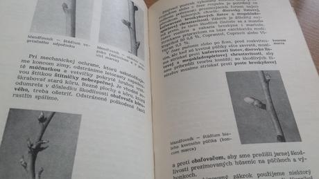 Kalendár ochrany rastlín v záhrade, 