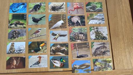 Nalepky do albumu animal kingdom, 