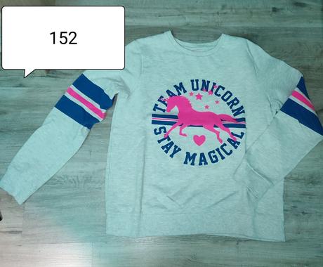Dievcenska mikina, 152