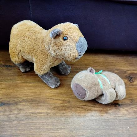 Capybara 2ks,