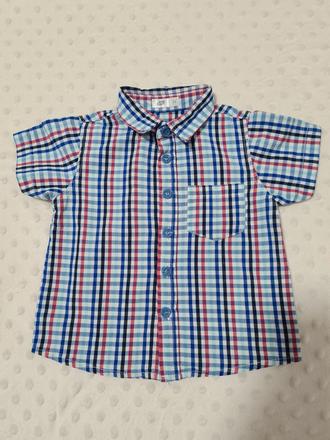 Košeľa s krátkym rukávom, pepco,74