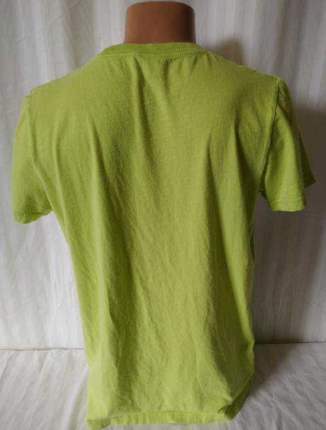 Pánske zelené tričko s potlačou, hollister, hollister,m