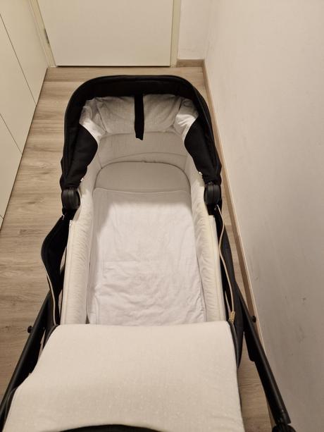 Kocik jasmine camino po jednom dietati, jasmine,jasmine camino