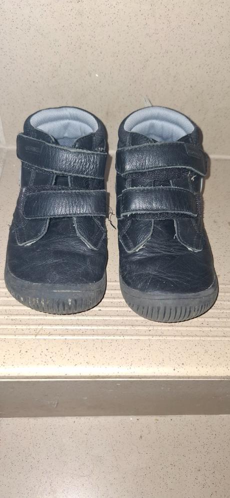 Protetika jesenné, protetika,29