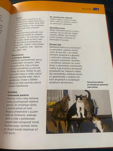 Život s mačkou starostlivosť, kŕmenie a zábava  de, 