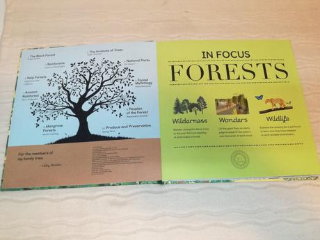 Libby walden forests in focus nau20,