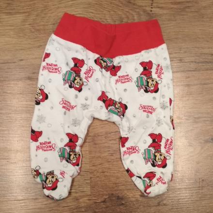 Polodupky vianočné, 62