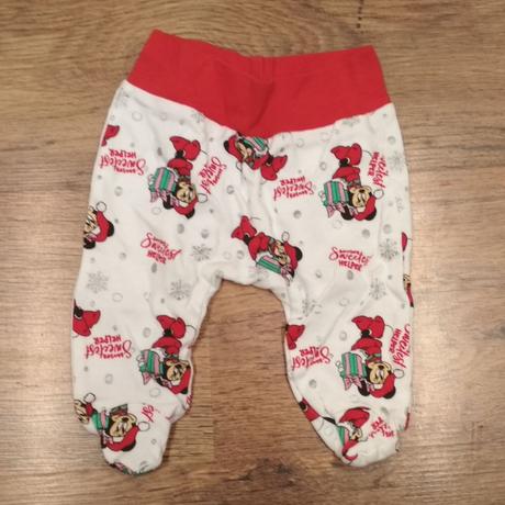 Polodupky vianočné, 62