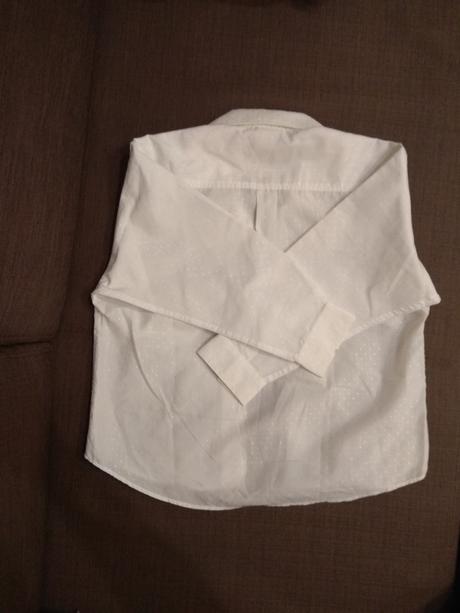 122 snehobiela kosela, palomino,122