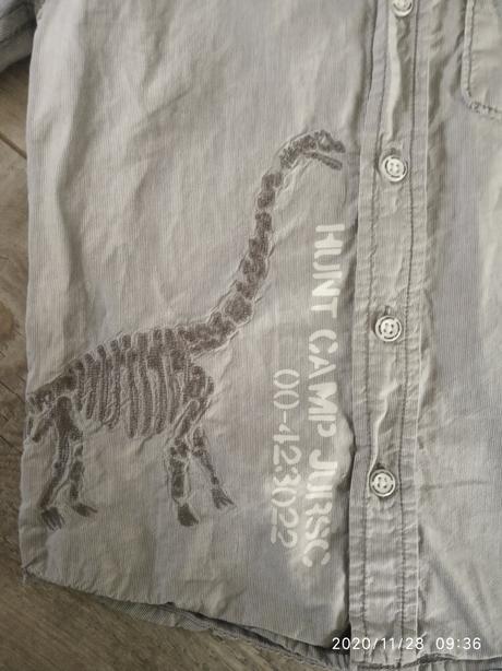 Košeľa, palomino,116