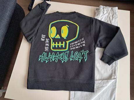 Mikina lebka zn. zara v.11r, zara,152