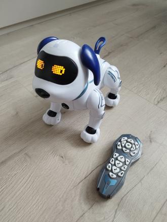 Robotický pes, havko, 