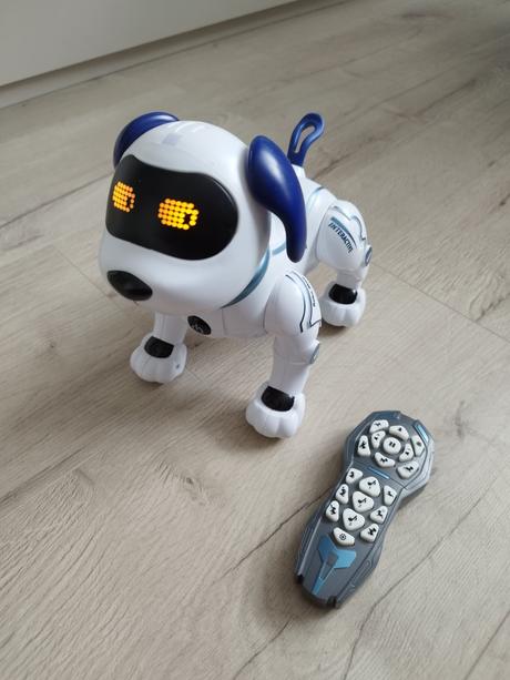 Robotický pes, havko, 