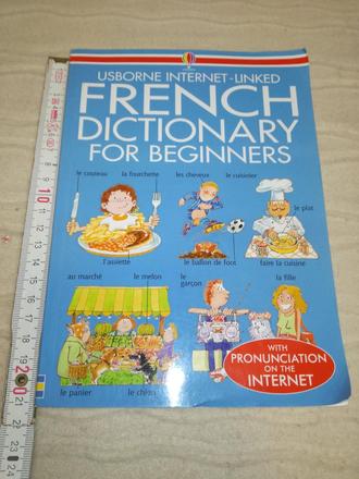 Usborne french dictionary for beginners wi19, 