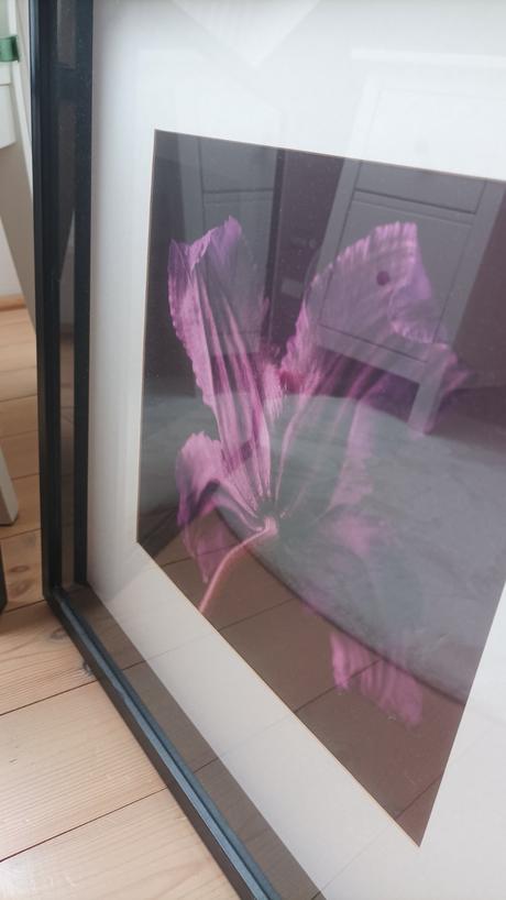 Rámiky s obrazom kvetov, 