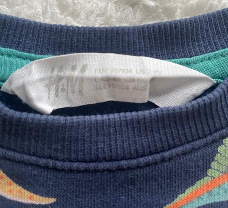 Modra teplakova suprava dinosaury h&m, h&m,98