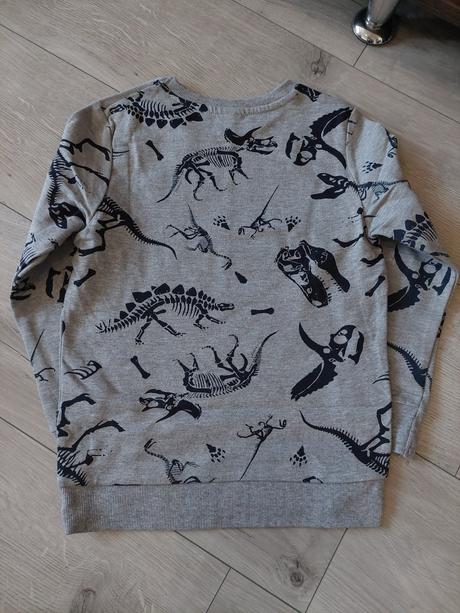 Dinosauria mikina, 128