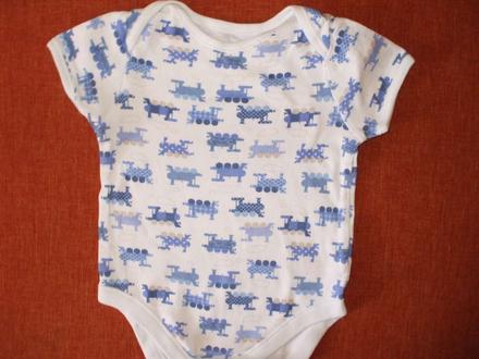 Vláčikové bodynko, 68