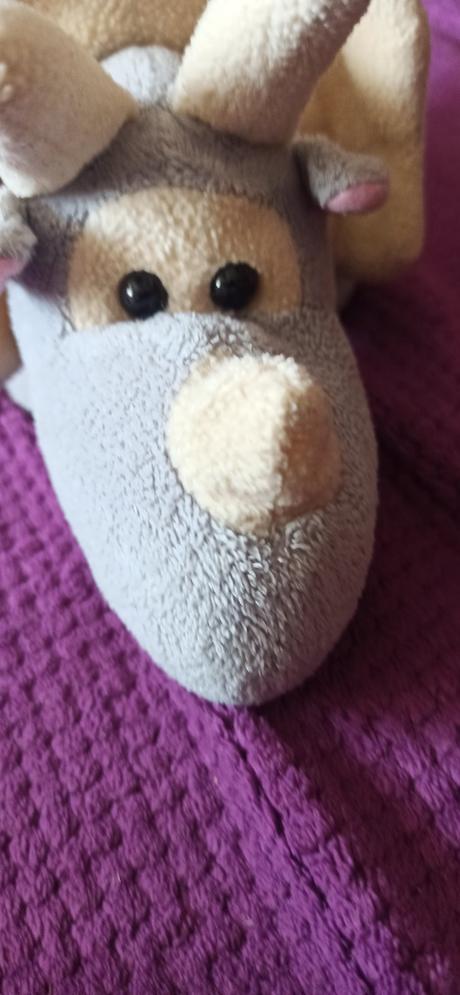 -dinosaurus, hrany, už sme vyrastli, 