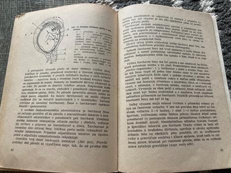 Základy rodinného života (1984),