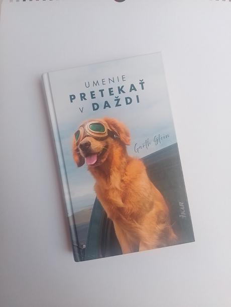 Umenie pretekať v daždi, 